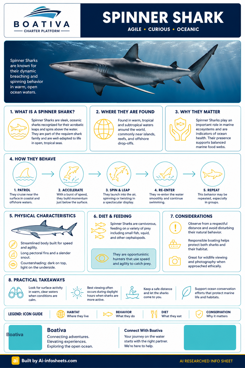 An infographic detailing the Spinner Shark's characteristics, habitat, behavior, diet, and conservation importance, featuring a large image of a spinner shark leaping out of the water.